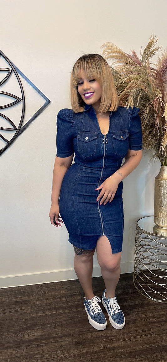 Not Just Denim Dress